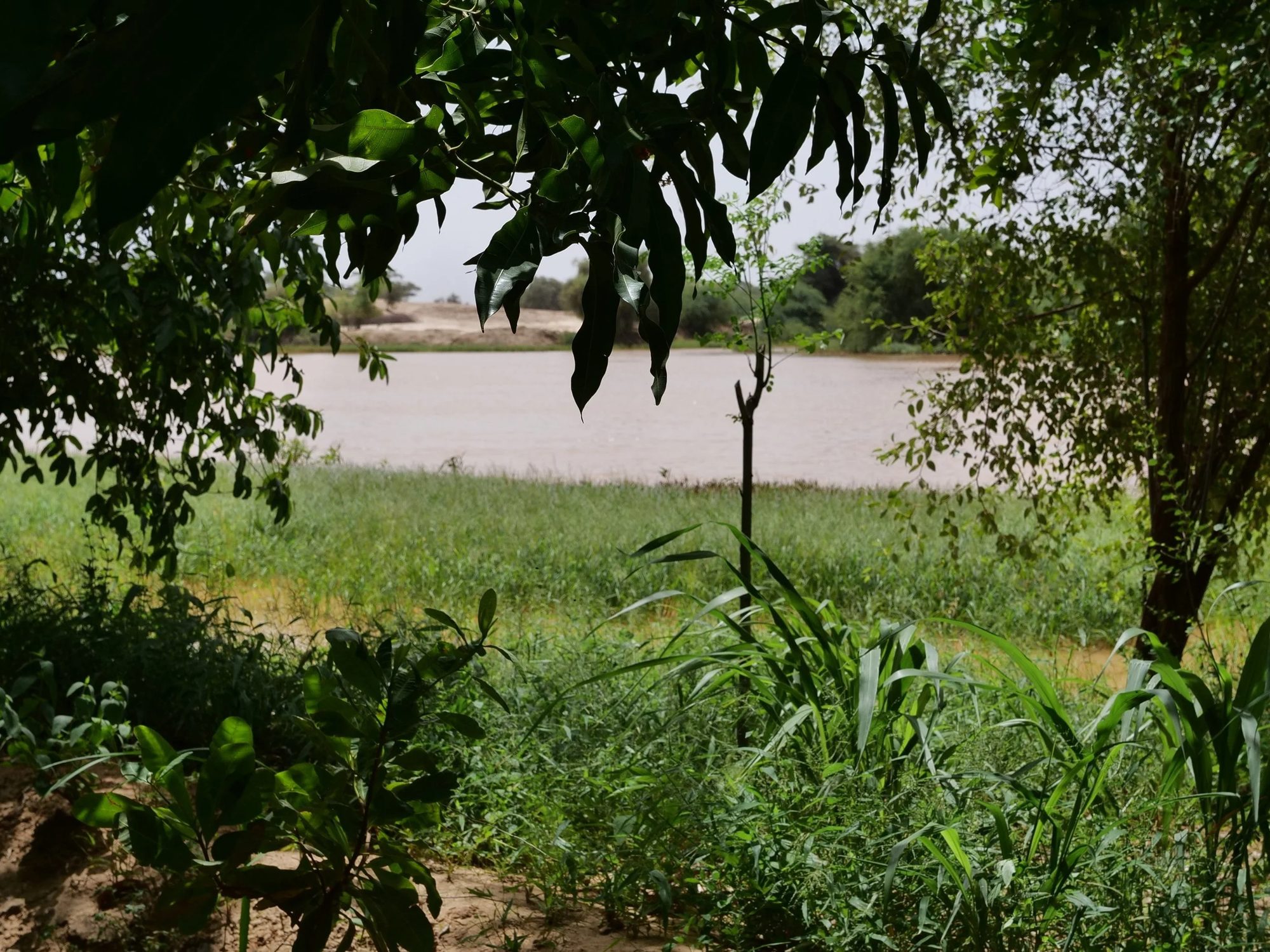 Environment
