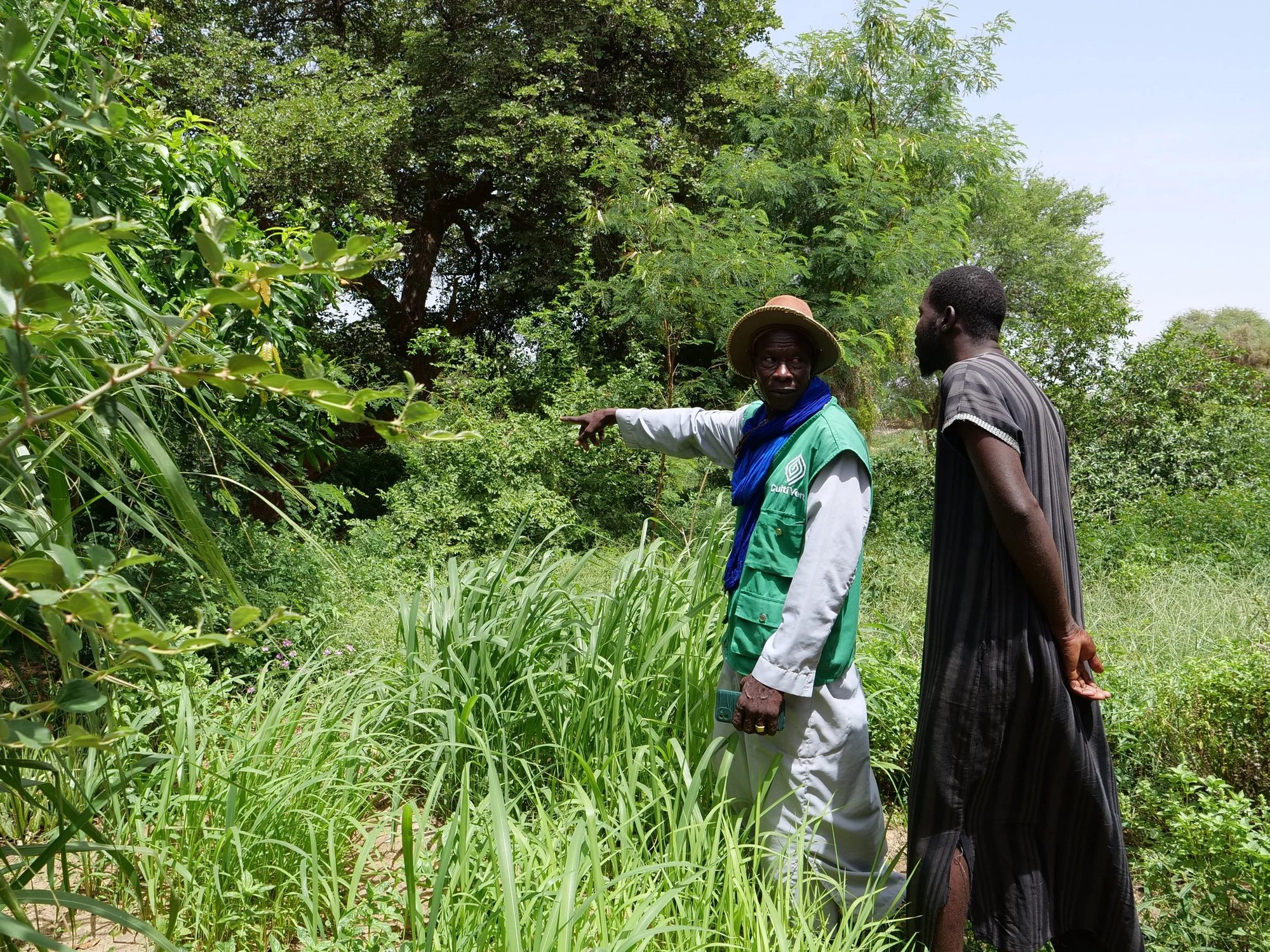 Senegal Sahel Reforestation Project