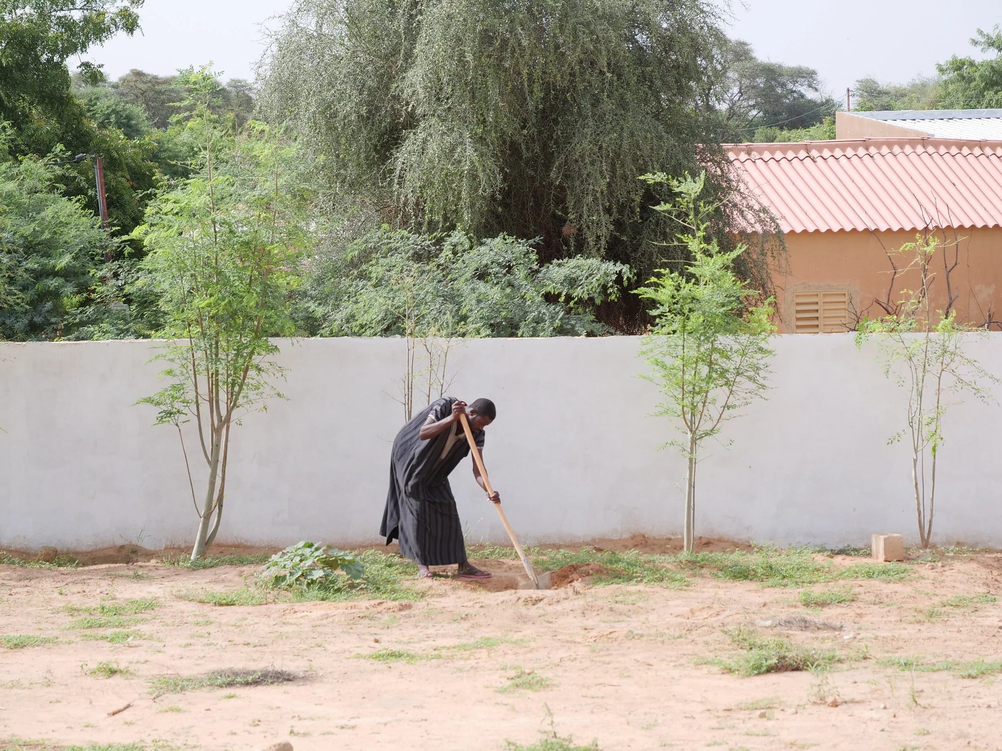Senegal Sahel Reforestation Project