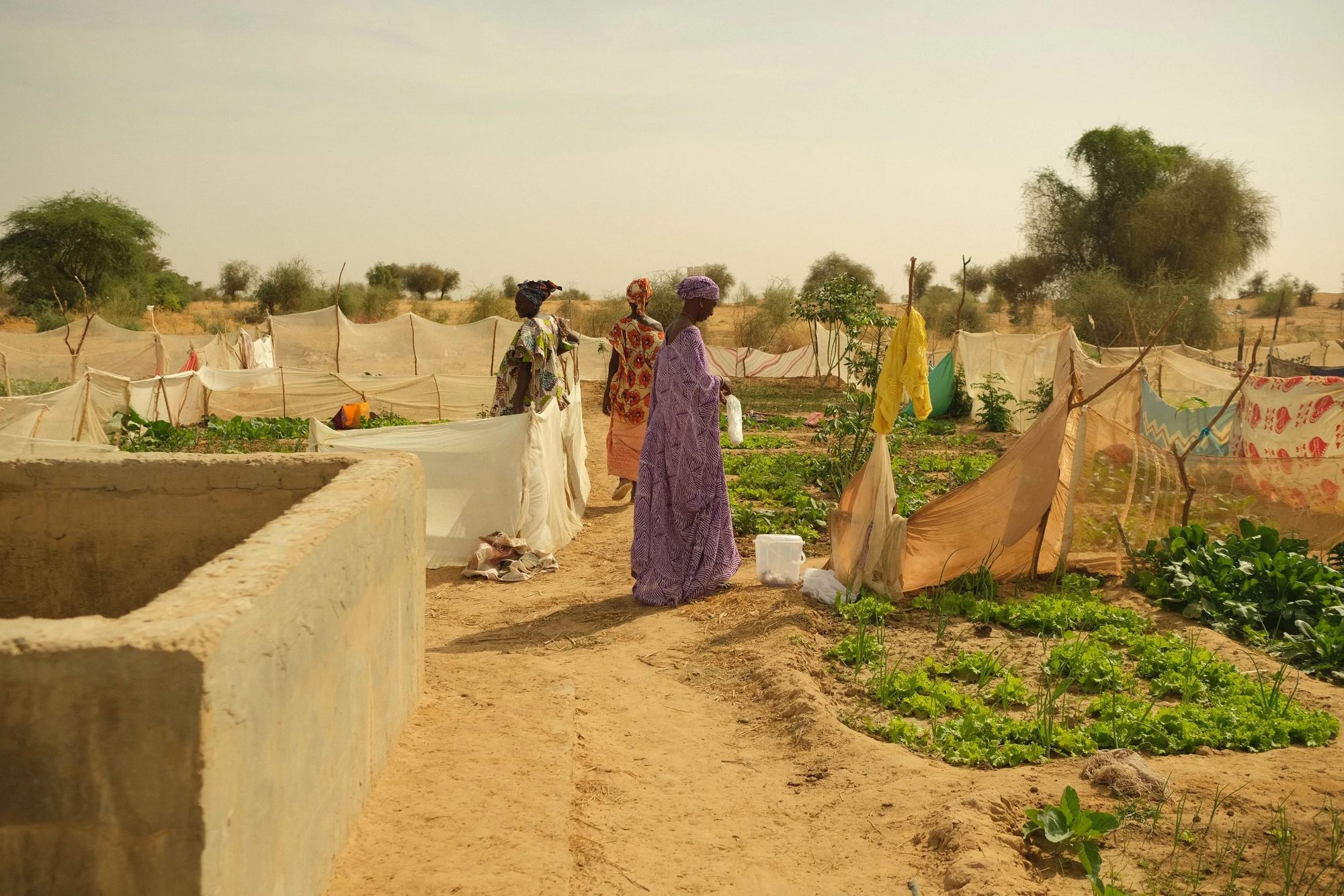 Solar-Powered Water System for Guede Commune